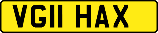 VG11HAX