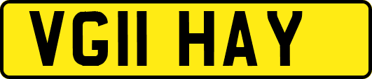 VG11HAY
