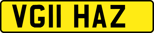 VG11HAZ