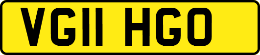 VG11HGO