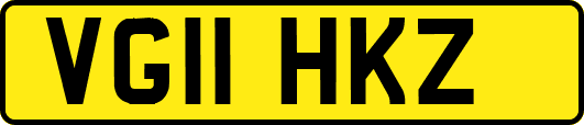 VG11HKZ