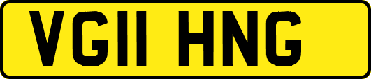 VG11HNG