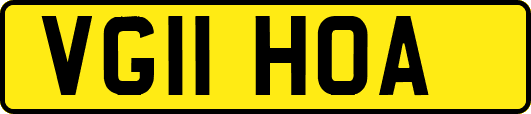 VG11HOA