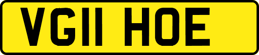 VG11HOE