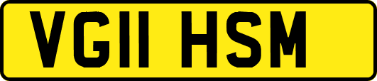 VG11HSM