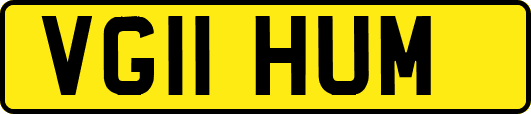 VG11HUM