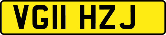 VG11HZJ
