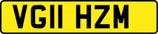 VG11HZM