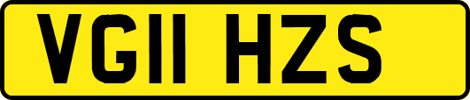 VG11HZS