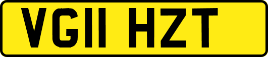 VG11HZT