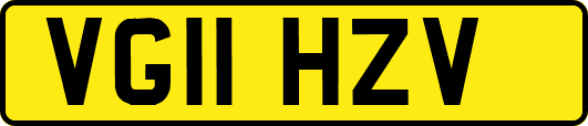 VG11HZV