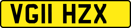 VG11HZX