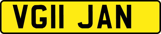 VG11JAN