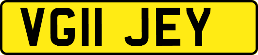 VG11JEY