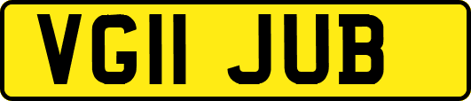 VG11JUB