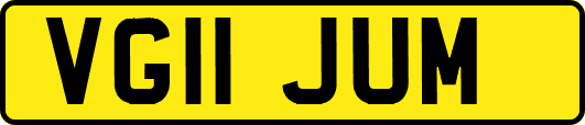 VG11JUM