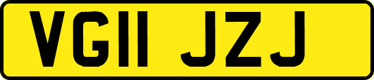 VG11JZJ