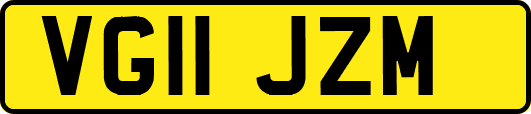 VG11JZM