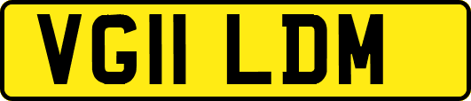 VG11LDM