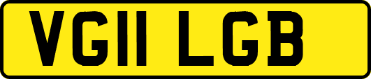VG11LGB