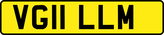 VG11LLM