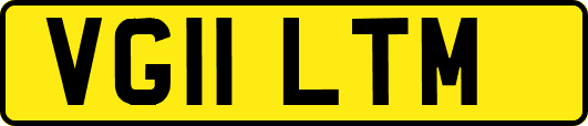 VG11LTM