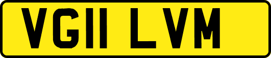 VG11LVM