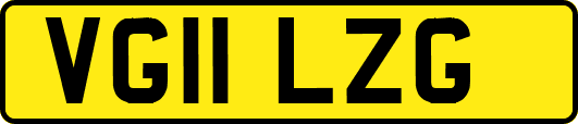 VG11LZG