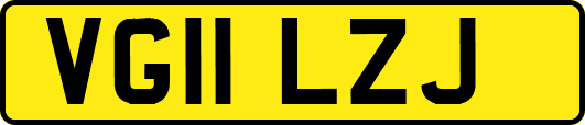 VG11LZJ