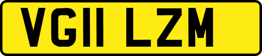 VG11LZM