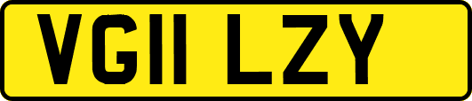 VG11LZY