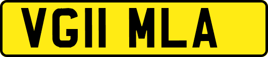 VG11MLA