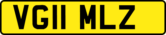 VG11MLZ