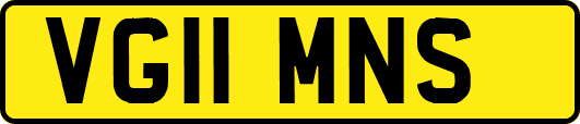 VG11MNS