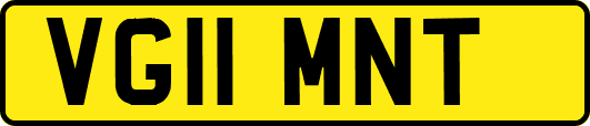 VG11MNT