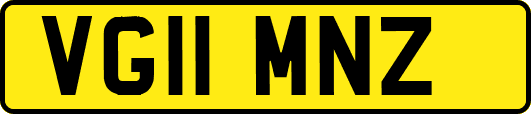 VG11MNZ