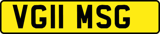 VG11MSG