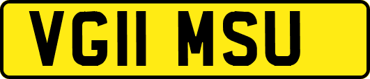 VG11MSU