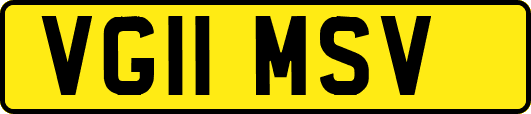VG11MSV