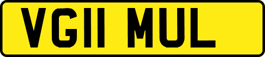 VG11MUL