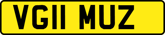 VG11MUZ