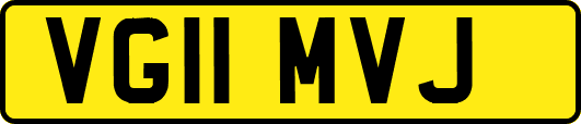 VG11MVJ