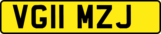 VG11MZJ