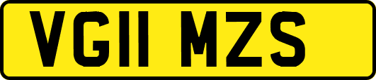 VG11MZS