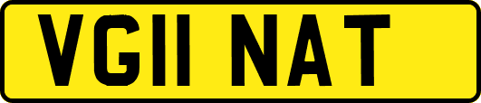 VG11NAT