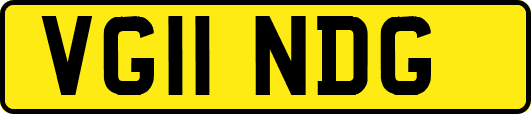VG11NDG