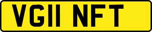VG11NFT