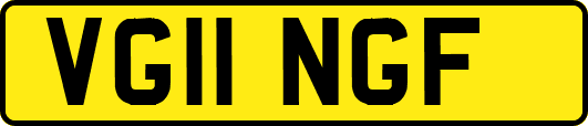 VG11NGF