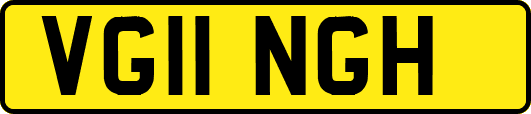VG11NGH