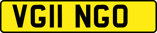 VG11NGO